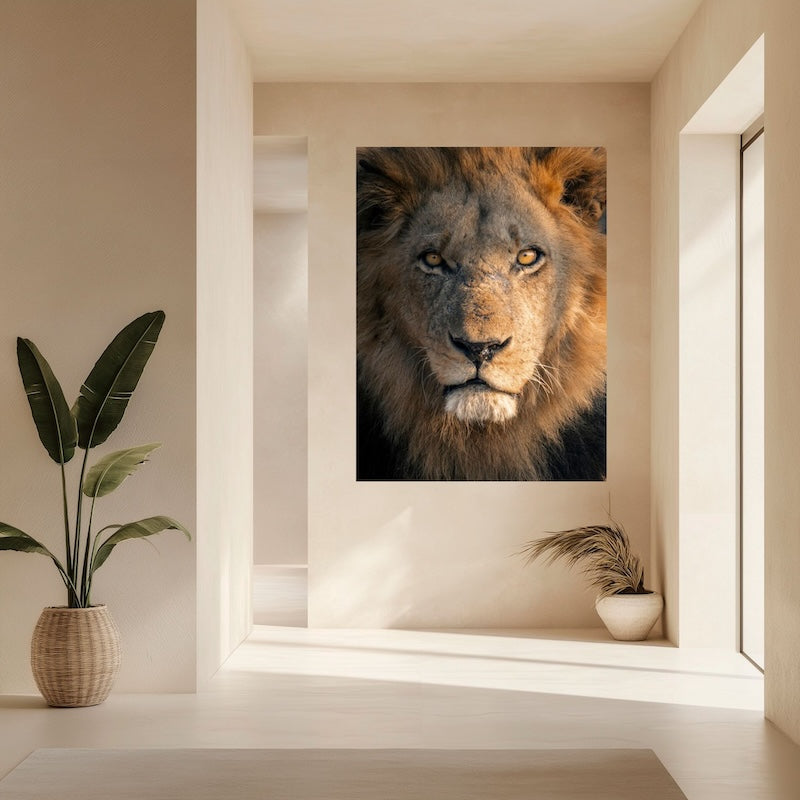 Fine Art leeuwenportret op acrylglas in een moderne woonkamer - Unshaken, Julia Eilert
