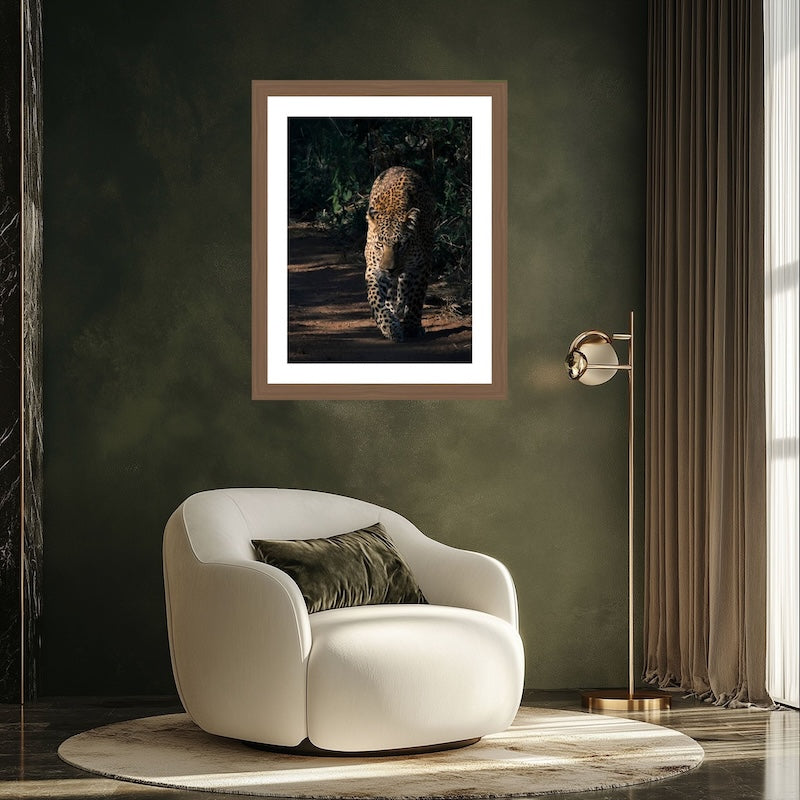 Fine Art luipaard print op premium fotopapier. Grote foto zonder lijst voor aan de muur. Gefotografeerd door Julia Eilert