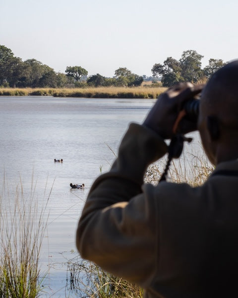 Julia Eilert Photography portfolio. Guide shots during game drives, ambiance photos for lodges