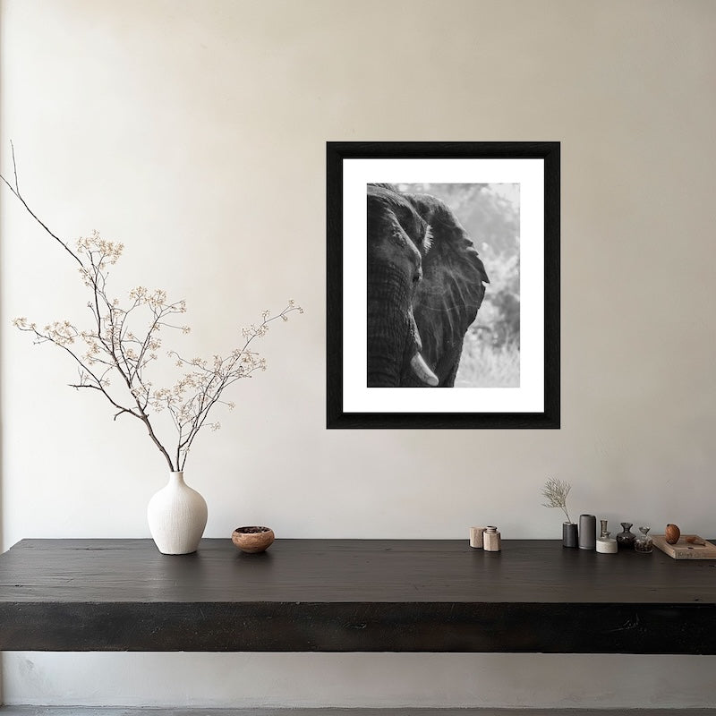 Olifant foto voor aan de muur in zwart-wit. Subtiele print op fotopapier van hoge kwaliteit. Gemaakt door Julia Eilert 