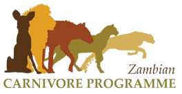 Samengewerkt met Zambian Carnivore Programme 