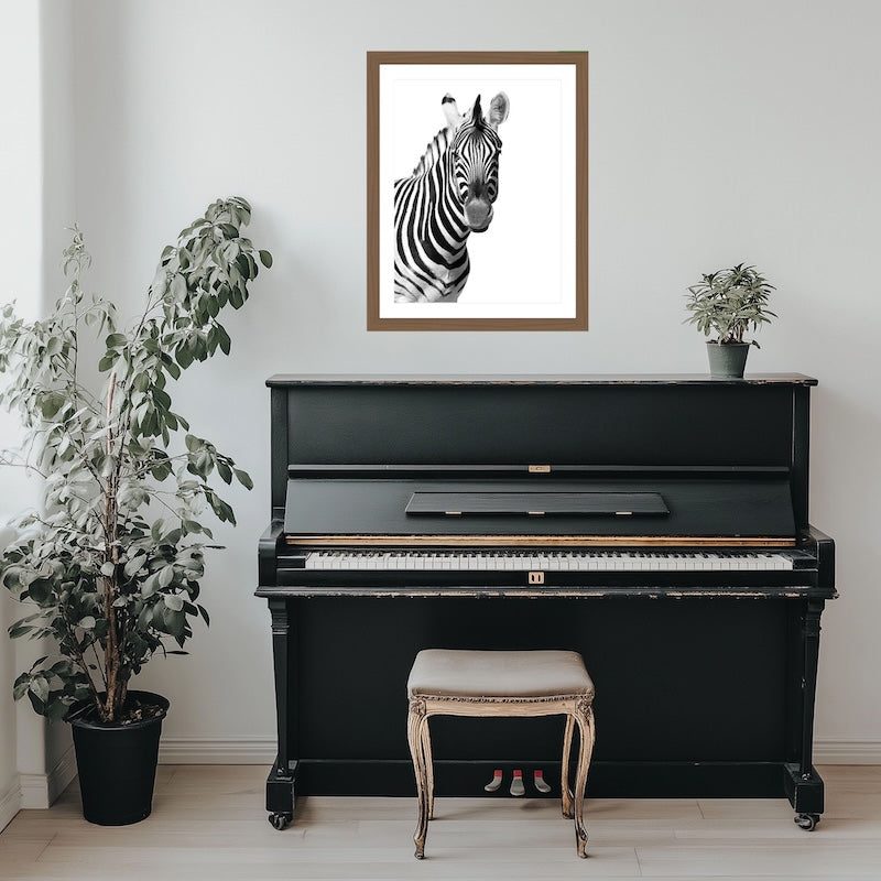Zwart-wit zebraportret op premium fotopapier van museumkwaliteit. Gefotografeerd door Julia Eilert 